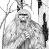 Susquatch